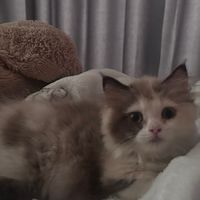 樂得寵物生活館🐈🐶