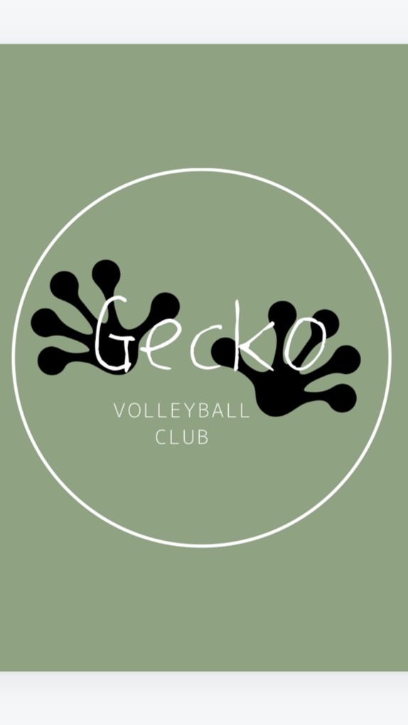 Gecko volleyball（243cm）