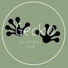 Gecko volleyball（243cm）