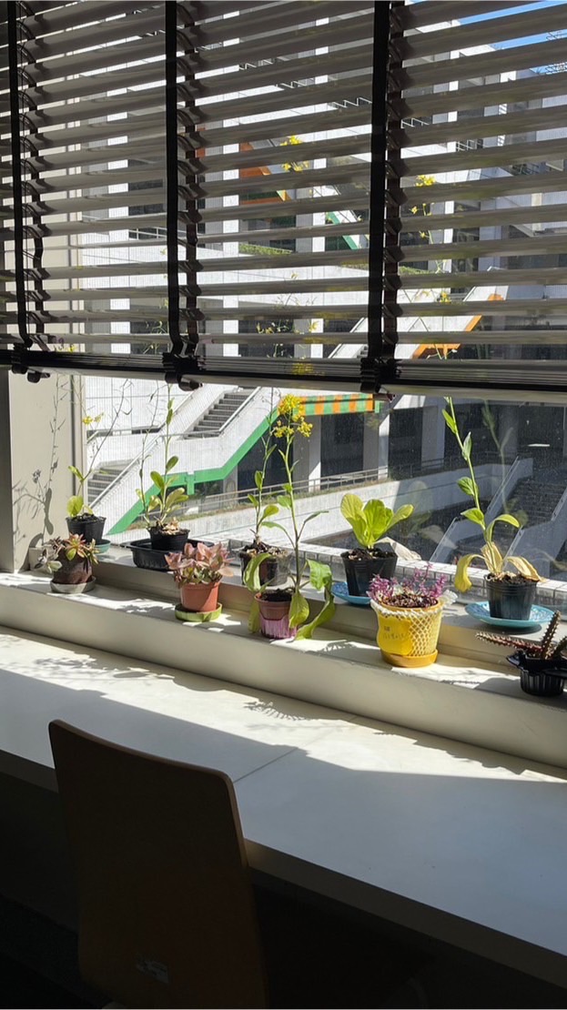 Mini Farm微農場社會創新實驗計畫