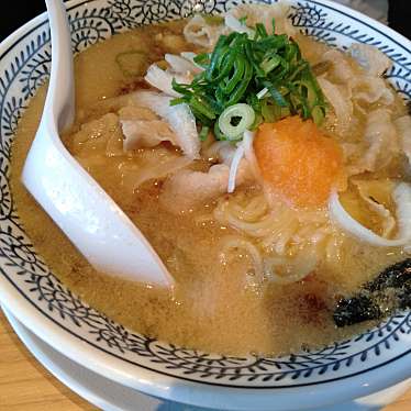 丸源ラーメン 一宮バイパス店 マルゲンラーメンイチノミヤバイパステン 緑 名鉄一宮駅 ラーメン つけ麺 By Line Conomi