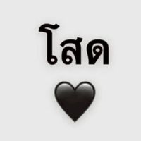 🌈คนโสด2569