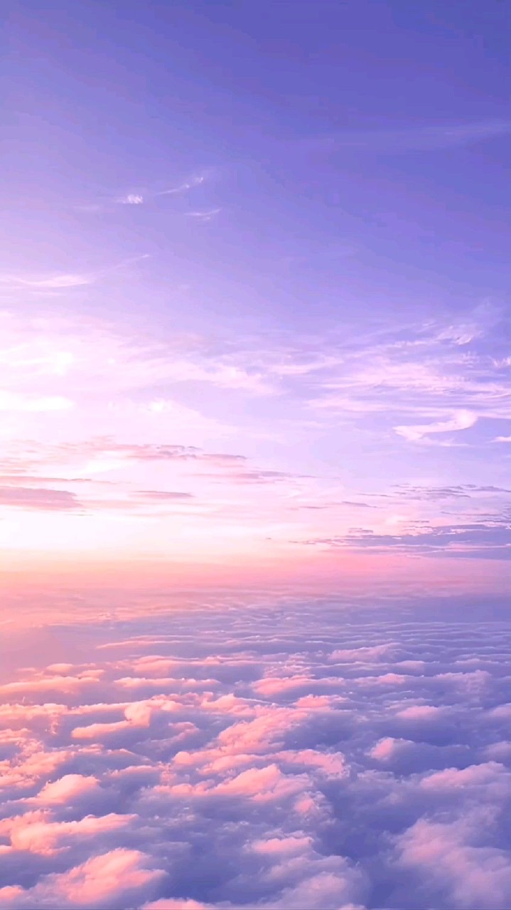 芸  能  人   n r k r  𓂃 𓈒𓏸໒꒱