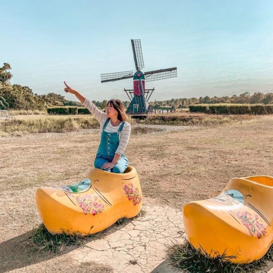 台南春節旅遊南部走春景點德元埤荷蘭村