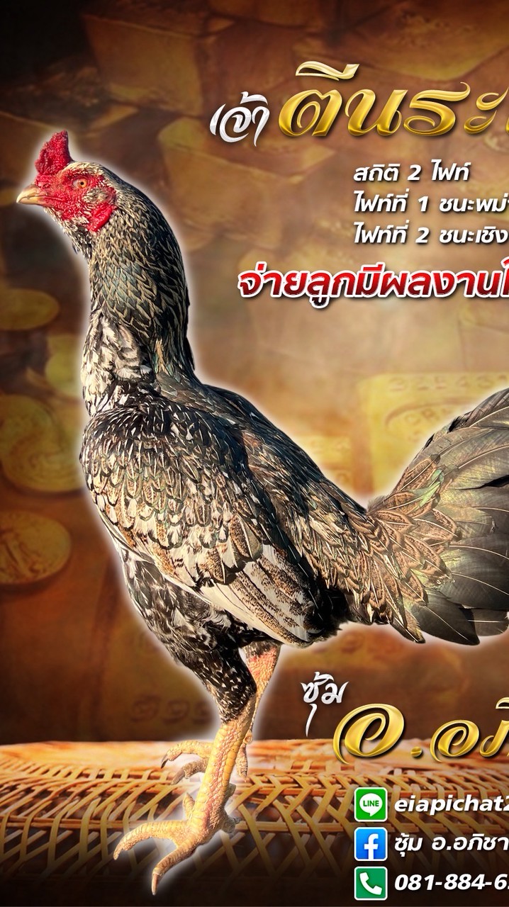 ซุ้ม อ.อภิชาติฟาร์ม