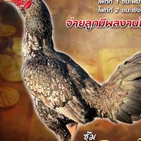 ซุ้ม อ.อภิชาติฟาร์ม