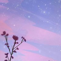   •[𝚛𝚘𝚕𝚎]• ᴇᴍᴘᴛʏ sᴋʏ  .   .☁︎ ˢᶜʰᵒᵒˡ