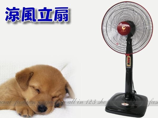 紅梅子 紅螞蟻 14吋立扇HT-8145 立地電扇(免運)涼風扇 電風扇 (台灣製造)【AO505】◎123便利屋◎