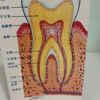 朎余牙助筆記