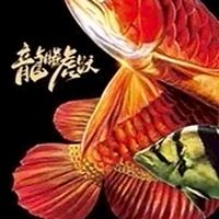 蕎杰水族