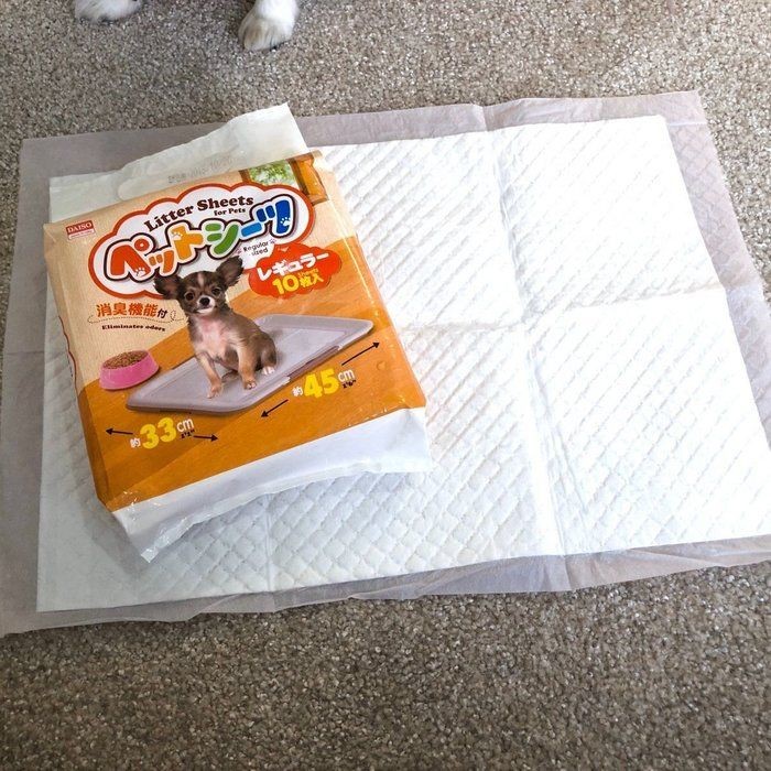 ダイソーの犬用 ペットシーツ 使ってみた