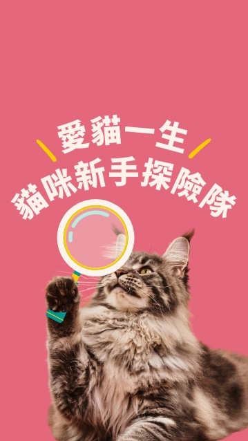 愛貓一生 • 貓咪新手探險隊