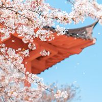 校園Vtuber同好會/師大Vtuber研究社