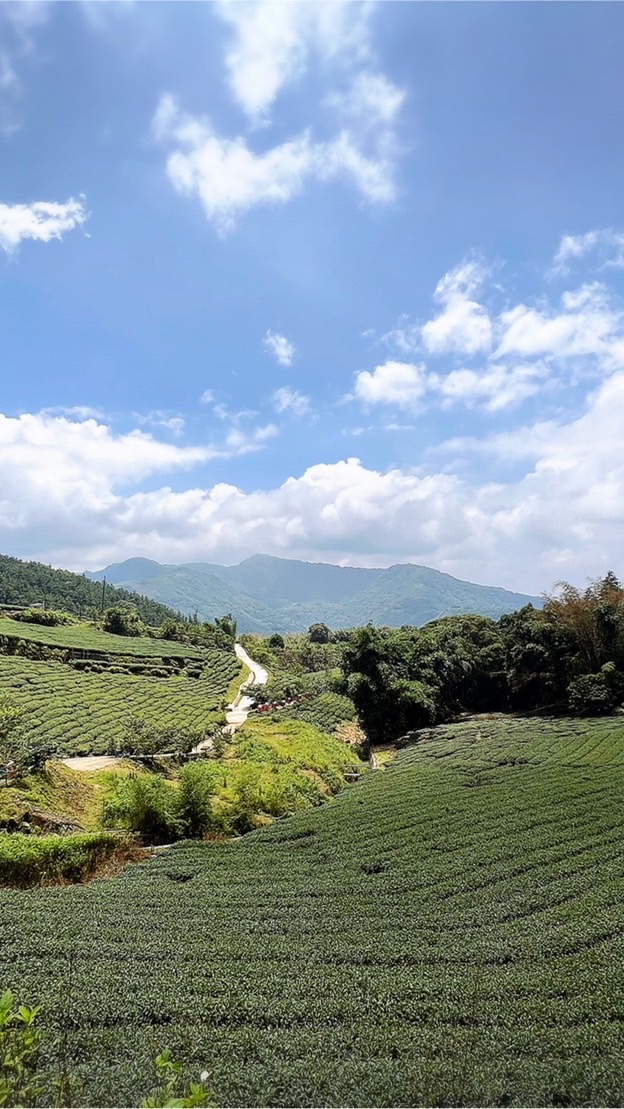 🌈彩虹小隊旅行團