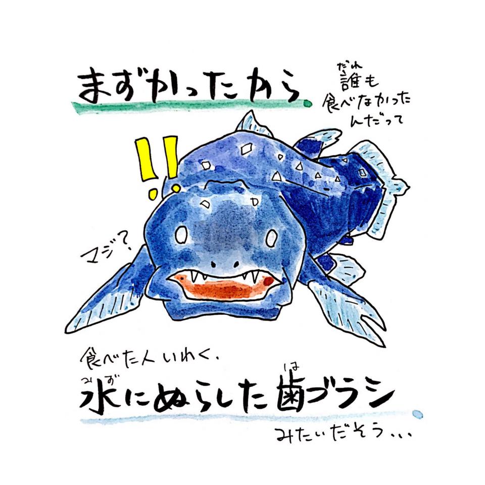 マズすぎて誰も食べなかった シーラカンスが 絶滅しなかった理由 解説したイラストが話題