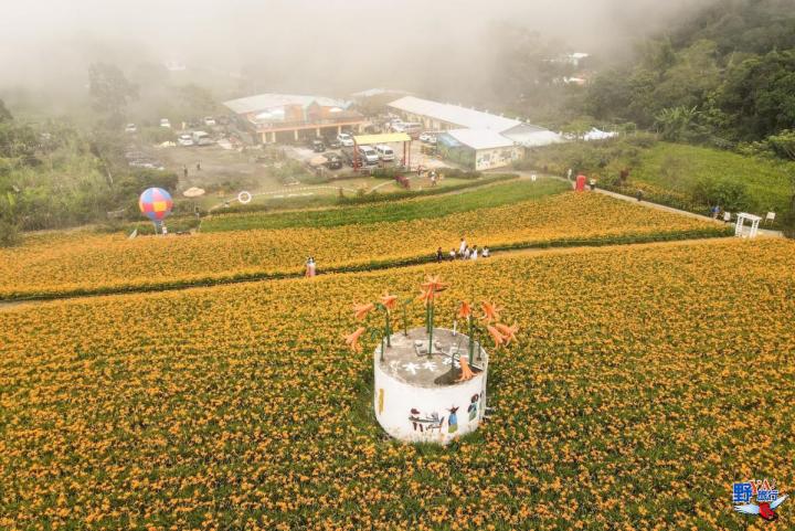 2023赤柯山金針花海必拍推薦8大景點 @Ya!Travel 野旅行新聞網