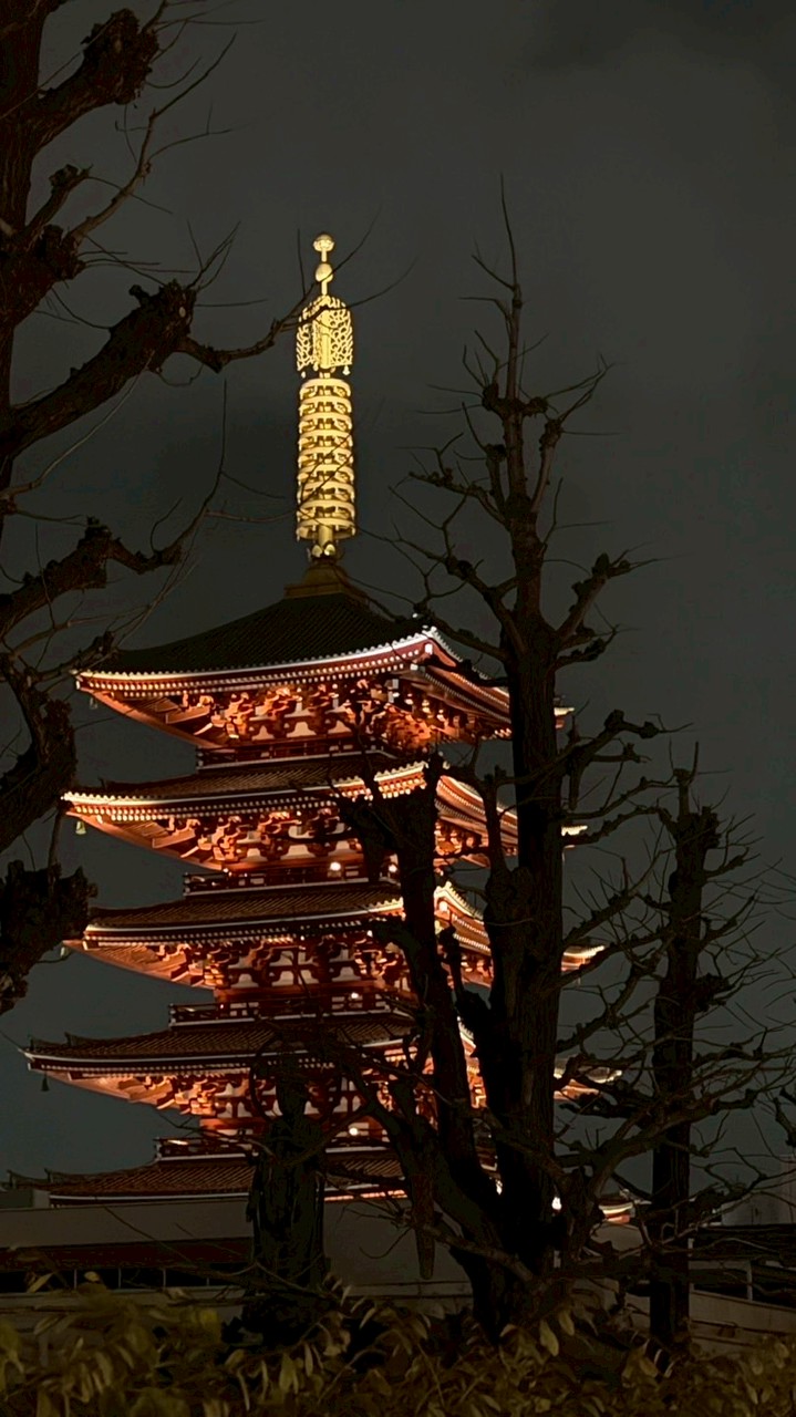 1/15-1/19大阪佛系代購🇯🇵