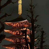 1/15-1/19大阪佛系代購🇯🇵