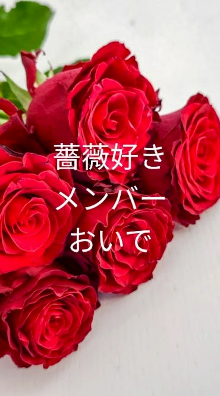 🌺50代以上🌺花好きライブトーク＆雑談🌺