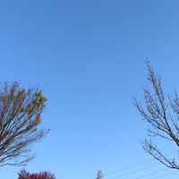 🌟ROOM大好き🌟オプチャ💕初心者歓迎(^^)楽天ROOM疑問解決向上オプチャ٩( ᐛ )و