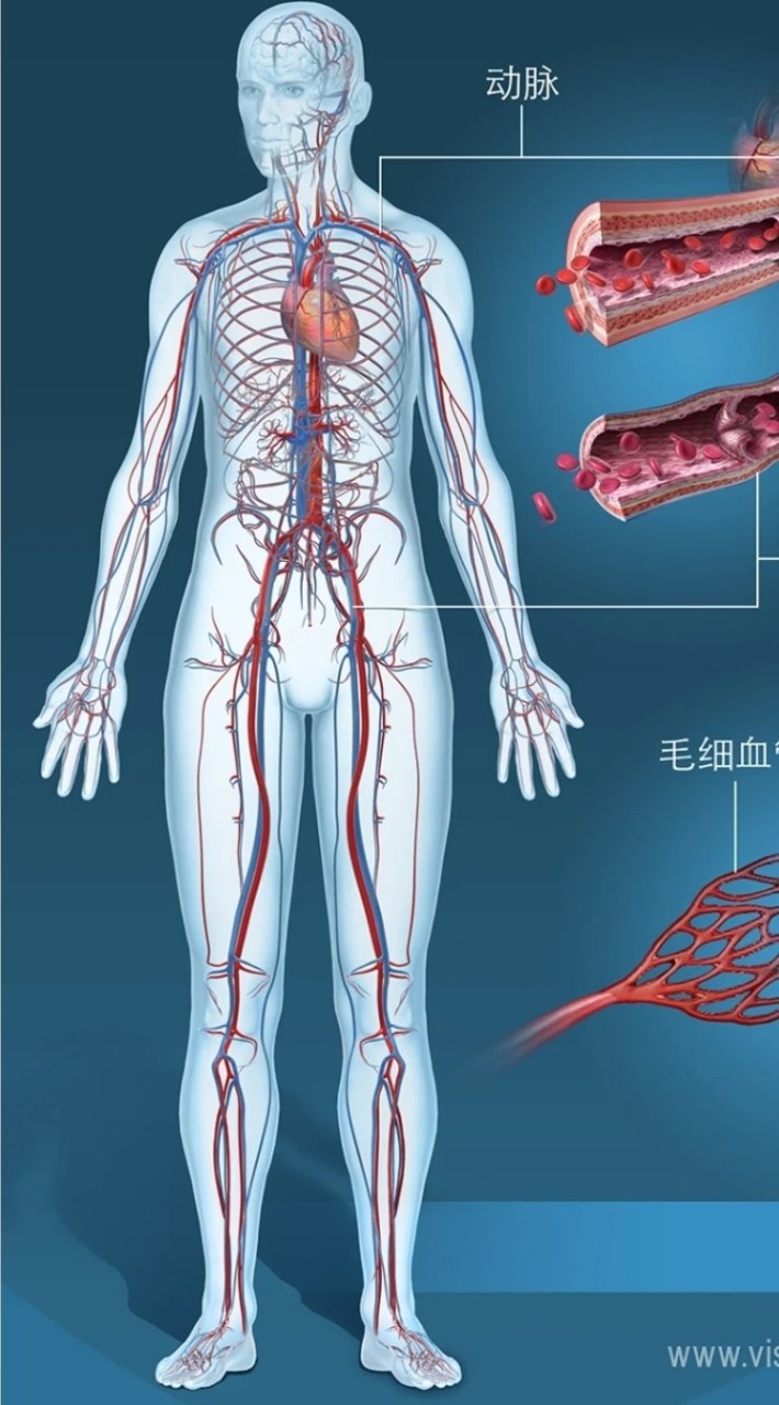 健康向前行（高雄，免費體驗，中風栓塞，通血路週波按摩，詳如簡介）