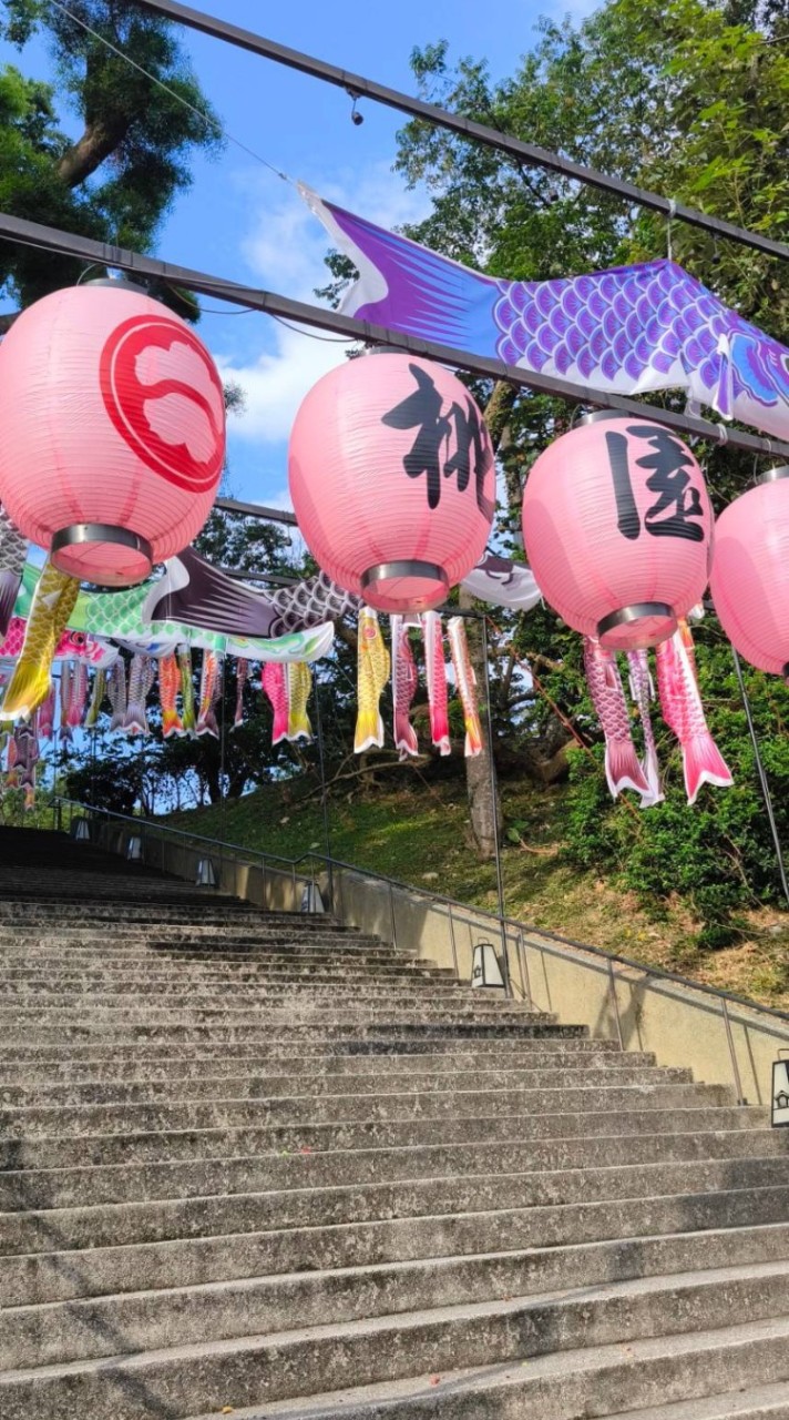 夏之夜單車團 腳踏車 單車 自行車 公路車 運動 美食 景點 旅行 美景  雙北桃園 ubike開團