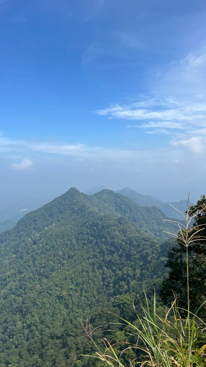 肉腳登山社17783