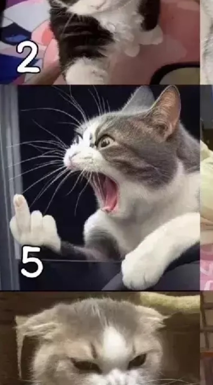 ป.ญ.อ