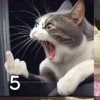 ป.ญ.อ
