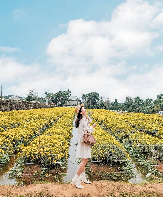 ▲圖片來源：IG@sharon_mylife813