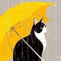 ［單身］［已婚］［離婚］［有伴］說秘密，分享心情