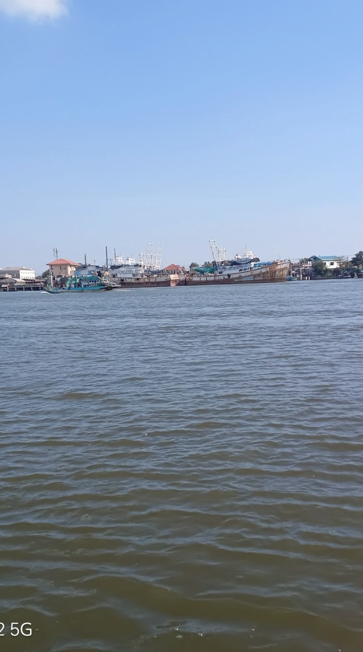 เซลล์ ขายอาหารแช่แข็ง