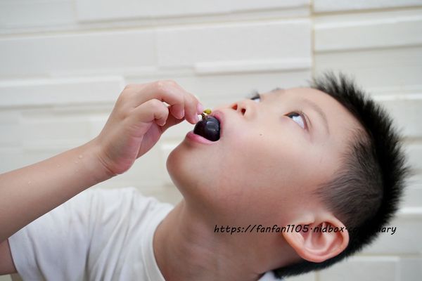 【苗栗卓蘭水果王國】果樹寶石 - 菓寶食 #卓蘭 #巨峰葡萄 #新鮮香甜 #吃葡萄不吐葡萄皮 (11).JPG