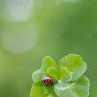 ☕️福山のんびり行こう🍀.*ケ・セラ・セラ