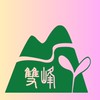 雙峰國小志工