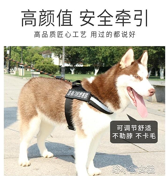 狗狗胸背帶寵物背心式遛狗牽引繩狗鏈子中大型犬項圈狗 『洛小仙女鞋』