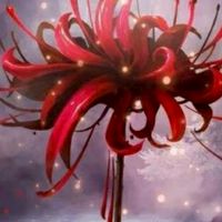 血染彼岸花