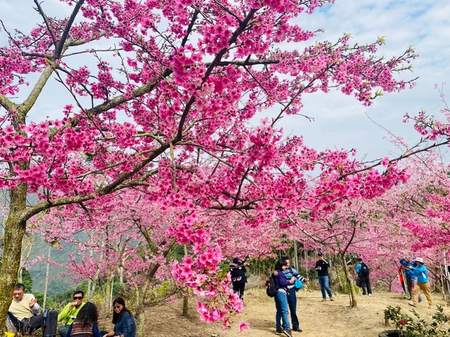 2023青山坪農場