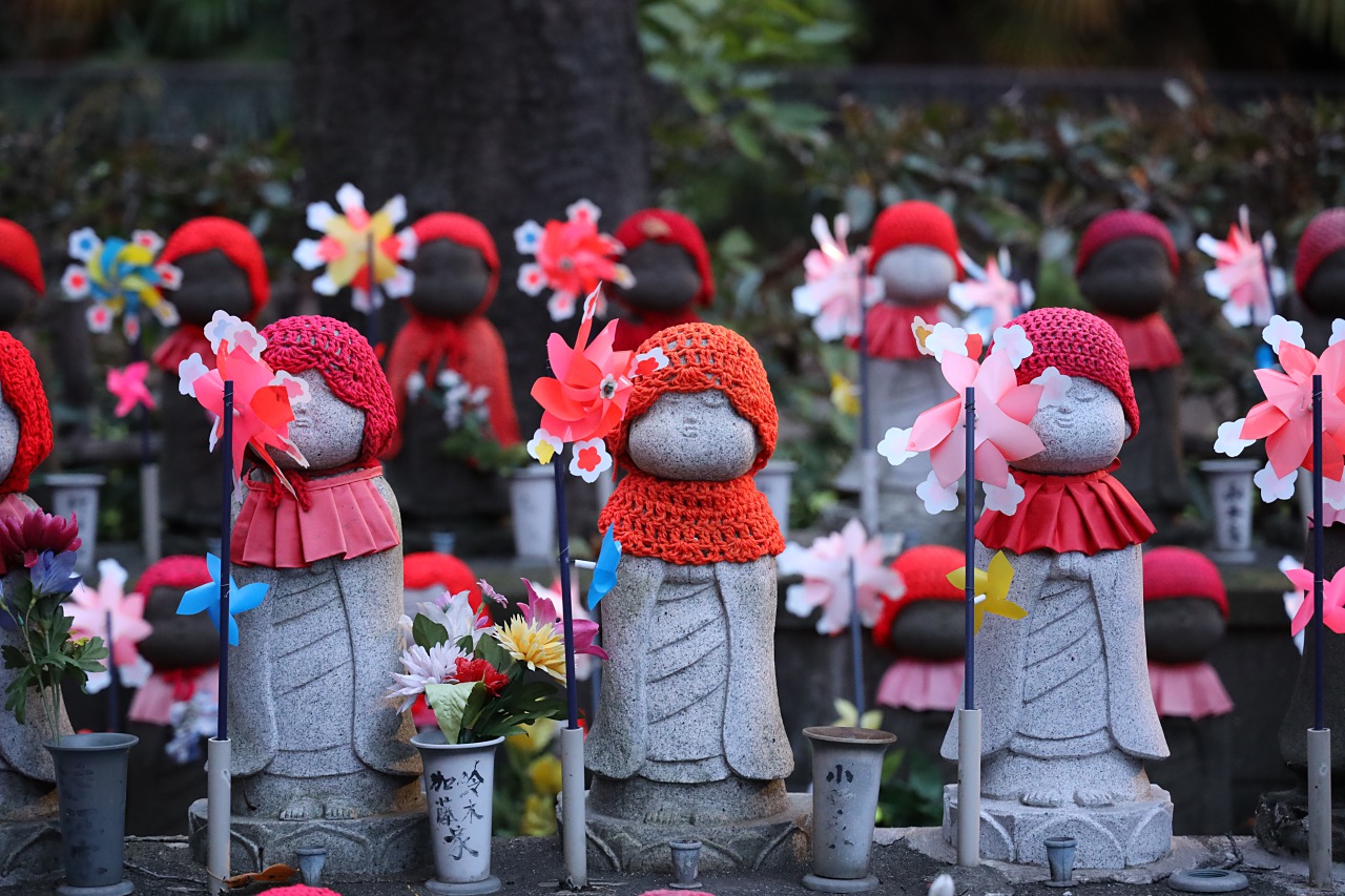 Canon EOS R 實戰測試：高ISO／追焦連拍／直出發色／防手震實拍評測