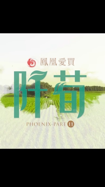 鳳凰愛買11-阡荀（已購戶交流群）