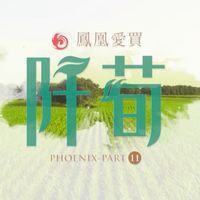鳳凰愛買11-阡荀（已購戶交流群）