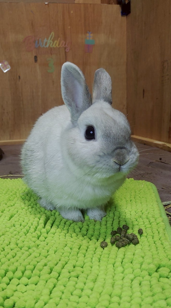 生き物と暮らすマサカズ