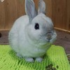 生き物と暮らすマサカズ