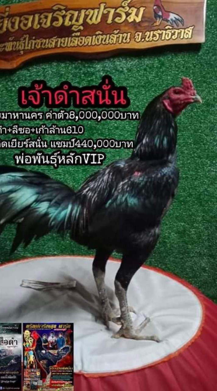ซุ้ม ยี่งอเจริญฟาร์ม