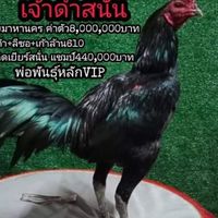 ซุ้ม ยี่งอเจริญฟาร์ม