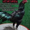 ซุ้ม ยี่งอเจริญฟาร์ม