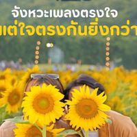 แคชเชียร์ The Rhythm5