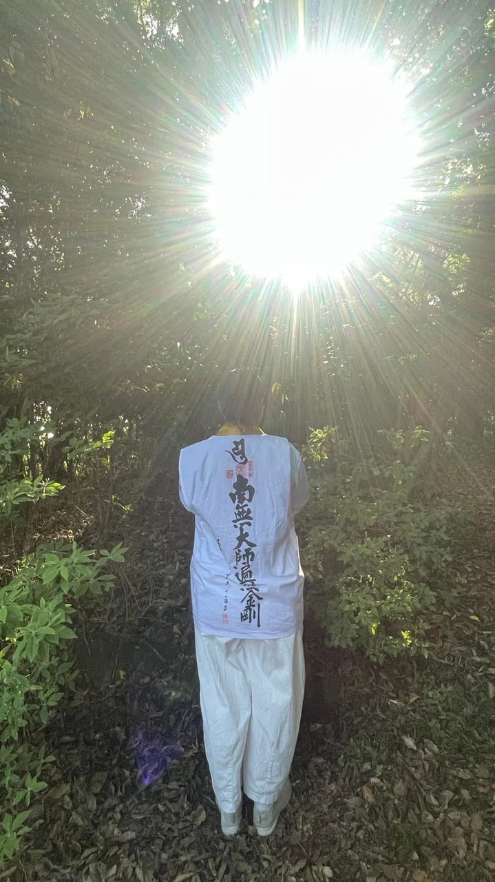 🌸椿のお遍路🌸