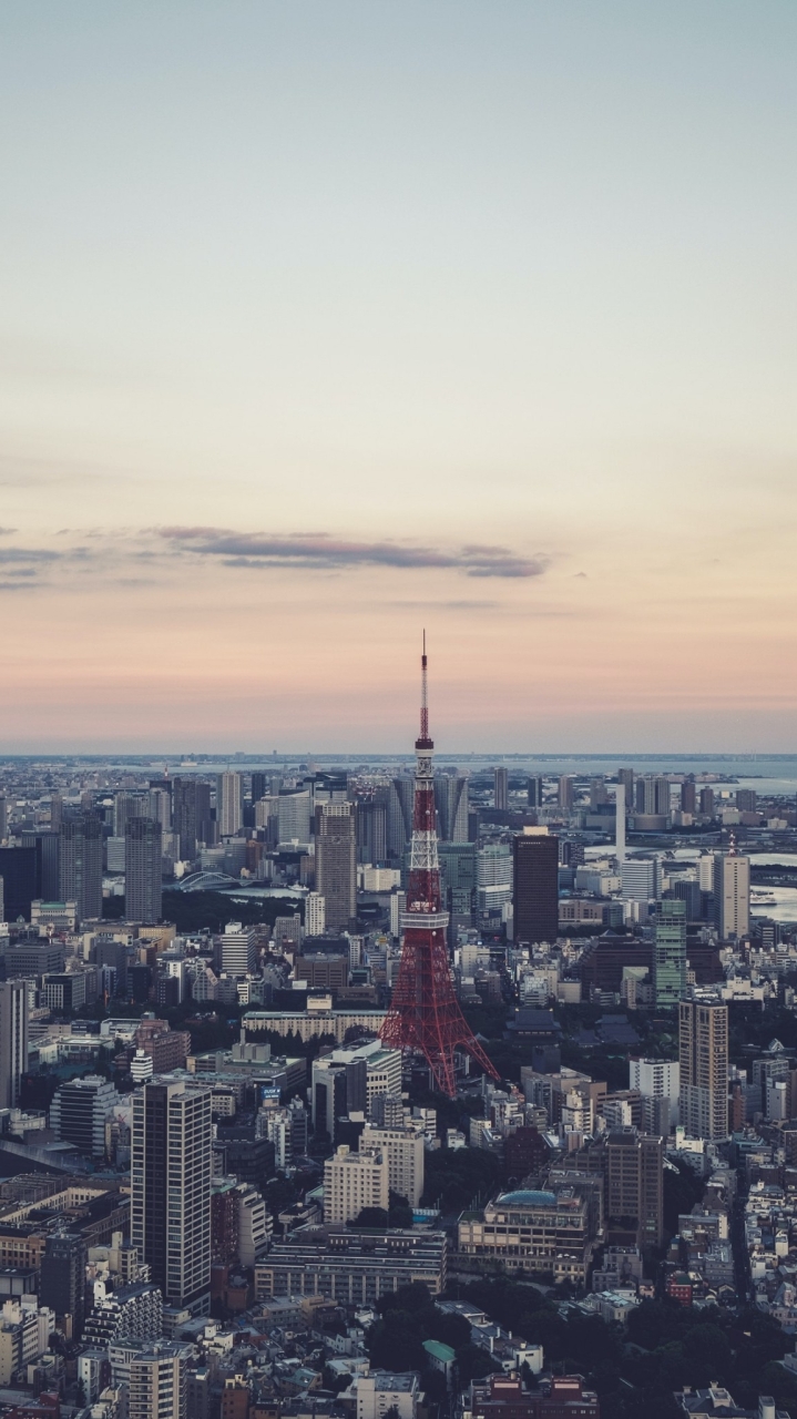 🇯🇵日本留遊學/打工度假互助專區