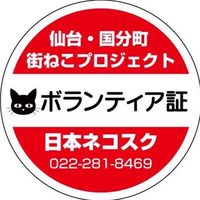 🔰【立町地区】日本ネコスク🐾街ねこ見守り情報交換